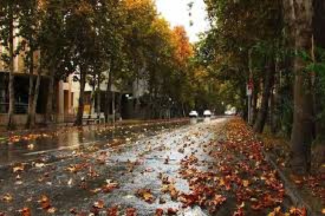 ۶ روش تضمینی و پزشکی برای درمان افسردگی پاییزی ۶ روش تضمینی و پزشکی برای درمان افسردگی پاییزی